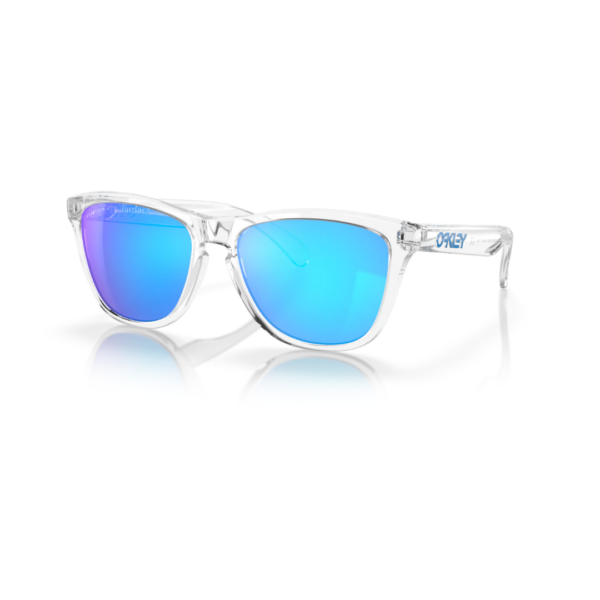 Oakley Frogskins 1