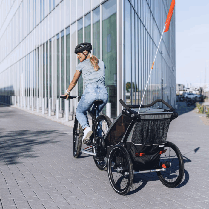 Remorque Thule Chariot Lite Single