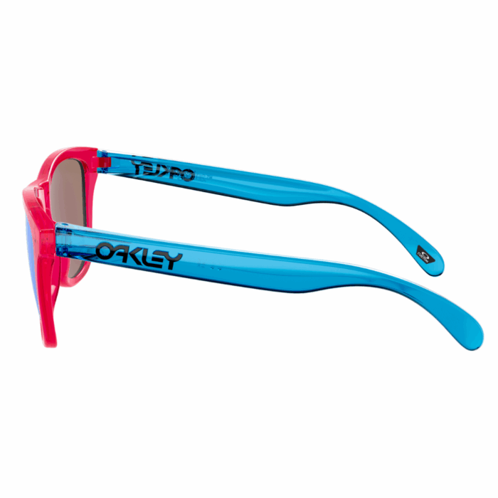 Lunettes Oakley Frogskins Collection TALB