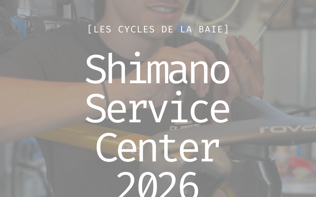 Révision vélo à Pornichet