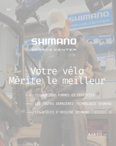 Révision vélo à Pornichet : Les Cycles de la Baie, Shimano Service Center 2026